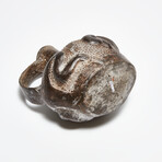 Charming Precolumbian Frog Bottle // Chimu, C. 400-750 CE
