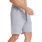 Stretch Waist Cotton Shorts // Light Gray (S)