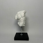 Man Torso Sculpture