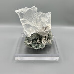 Angelic Guardian III