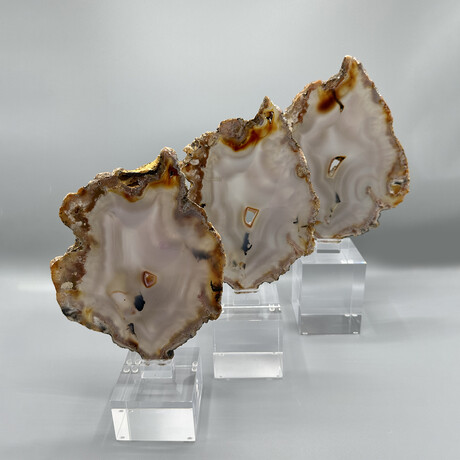 Agate 1016