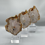 Agate 1016