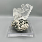 Angelic Guardian III