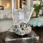 Angelic Guardian III