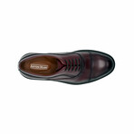 Aston Marc Mens Tuscan Cap Toe Dress Shoes // Maroon (US Men's Size 8)