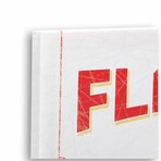 Calgary Flames Rink Canvas Wall Decor