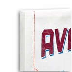 Colorado Avalanche Rink Canvas Wall Decor