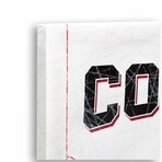 Arizona Coyotes Rink Canvas Wall Decor