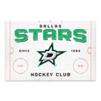 Dallas Stars Rink Canvas Wall Decor