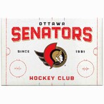 Ottawa Senators Rink Canvas Wall Decor