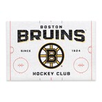 Boston Bruins Rink Canvas Wall Decor