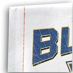 St. Louis Blues Rink Canvas Wall Decor