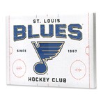 St. Louis Blues Rink Canvas Wall Decor