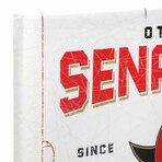 Ottawa Senators Rink Canvas Wall Decor