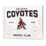 Arizona Coyotes Rink Canvas Wall Decor