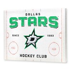 Dallas Stars Rink Canvas Wall Decor