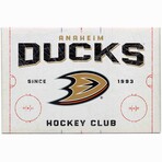 Anaheim Ducks Rink Canvas Wall Decor