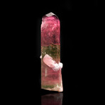 Double Terminated Watermelon Tourmaline With Lepidolite // 58.56 Grams