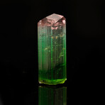 Watermelon Tourmaline // 19.48 Grams
