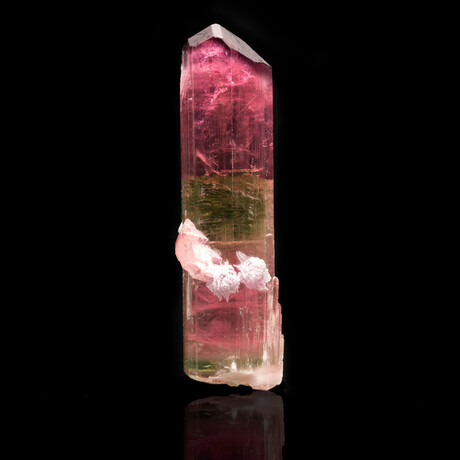 Double Terminated Watermelon Tourmaline With Lepidolite // 58.56 Grams