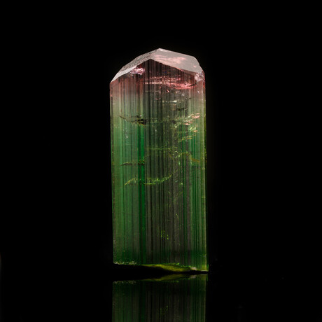Watermelon Tourmaline // 19.48 Grams