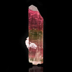 Double Terminated Watermelon Tourmaline With Lepidolite // 58.56 Grams