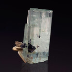 Aquamarine With Pseudobrookite And Muscovite // 47.80 Grams