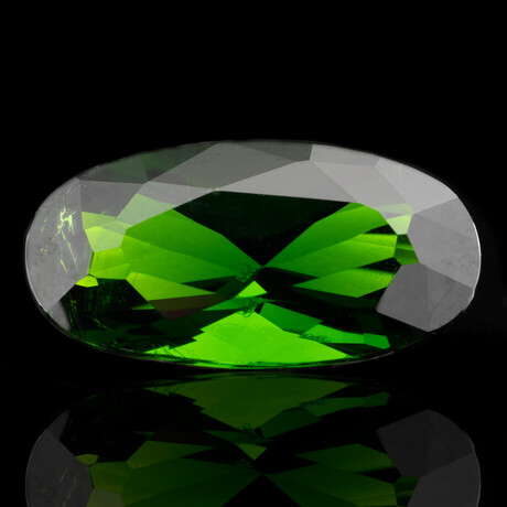 Faceted Chrome Diopside // 10.29 Carats