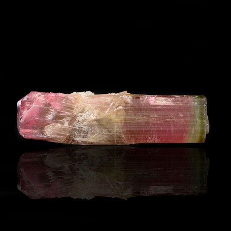 Bent Watermelon Tourmaline // 39.78 Grams