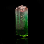 Watermelon Tourmaline // 19.48 Grams