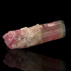 Bent Watermelon Tourmaline // 39.78 Grams