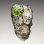 Peridot // 255 Grams