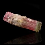Bent Watermelon Tourmaline // 39.78 Grams