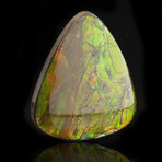 Ammolite Cabochon // 7.69 Grams