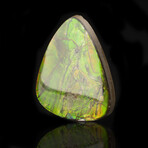 Ammolite Cabochon // 7.69 Grams