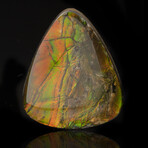 Ammolite Cabochon // 7.69 Grams
