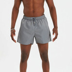 Solid Men's Swimsuit // Gray (S)