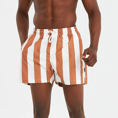 Wide Stripe Men's Swimsuit // Brown, White (S)