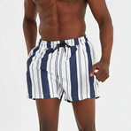 Mixed Stripe Men's Swimsuit // Blue, White (S)