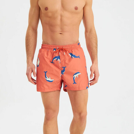 Dolphin Pattern Men's Swimsuit // Orange, Blue, White (S)