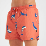 Dolphin Pattern Men's Swimsuit // Orange, Blue, White (2XL)