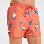 Dolphin Pattern Men's Swimsuit // Orange, Blue, White (2XL)