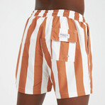 Wide Stripe Men's Swimsuit // Brown, White (M)