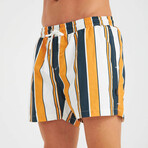 Mixed Stripe Men's Swimsuit // Navy, Mustard, White (S)