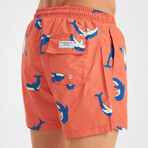 Dolphin Pattern Men's Swimsuit // Orange, Blue, White (2XL)