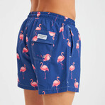 Flamingo Pattern Men's Swimsuit // Pink, Blue (XL)