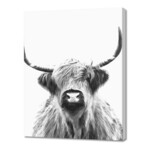 Black and White Highland Cow (8"W x 10"H x 0.2"D)