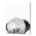 Black and White Elephant Back (8"W x 10"H x 0.2"D)