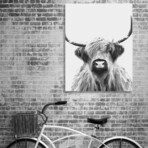 Black and White Highland Cow (8"W x 10"H x 0.2"D)