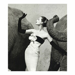 Dovima with Elephants // Richard Avedon
